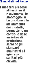 Specialisti nel Pesce
I moderni processi attivati per il ricevimento, lo stoccaggio, la lavorazione e lo smistamento dei prodotti, permettono un controllo delle varie fasi di produzione secondo gli standard qualitativi ed igienico-sanitari più elevati. 